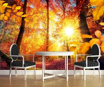 Árvores do outono Raios de luz Tronco de árvore, Sol, Natureza, papel de parede,hotel, restaurante coffee shop, sala de tv, sofá parede do quarto murais